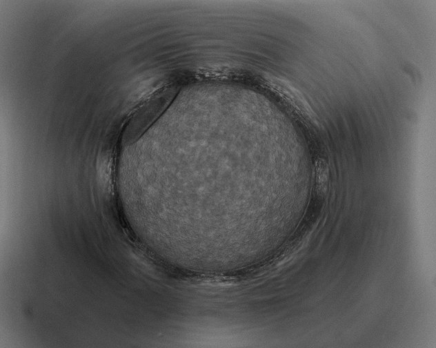 X0000116791060200912311912