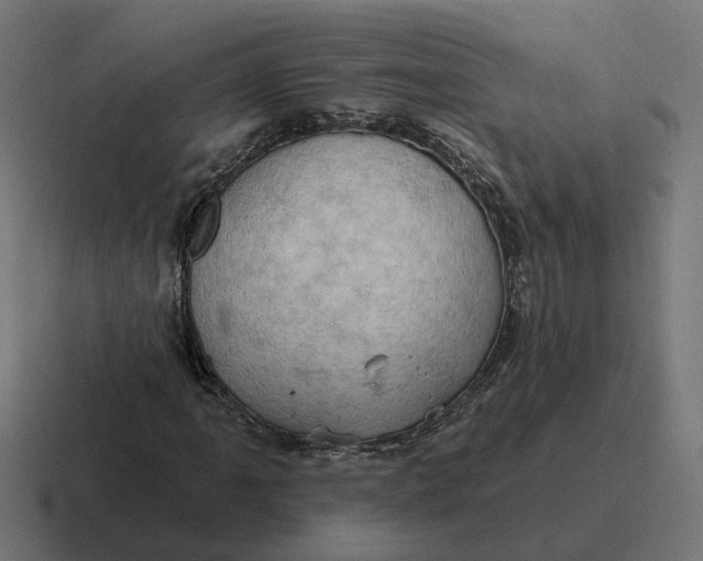 X0000116791061200912311912