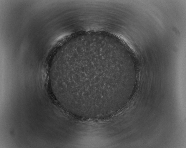 X0000116791063200912311912