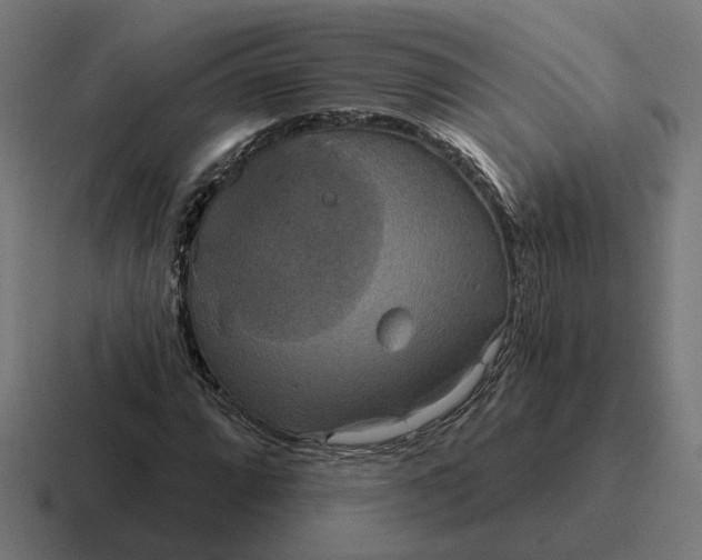 X0000116791064200912311912