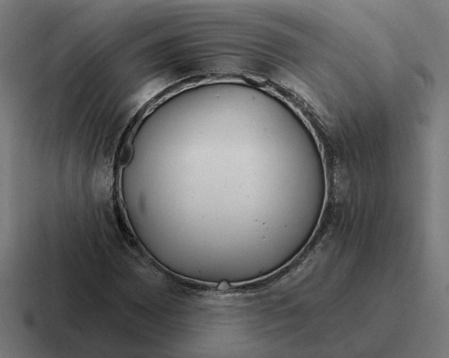 X0000116791065200912311912