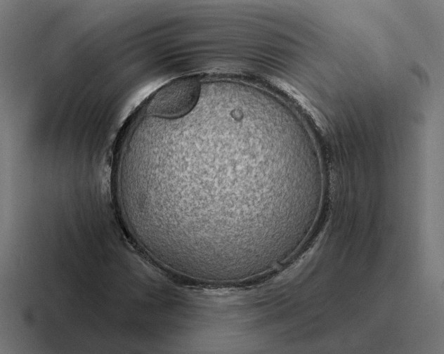 X0000116791066200912311912