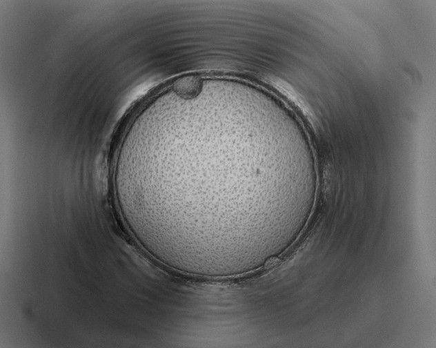 X0000116791067200912311912