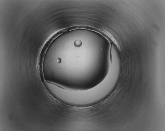 X0000116791068200912311912