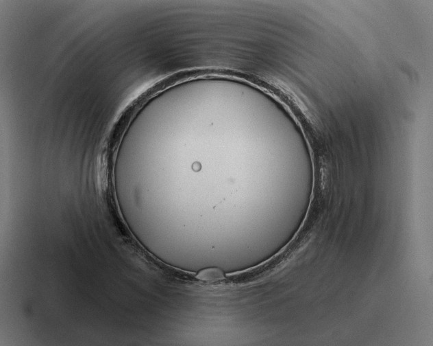 X0000116791069200912311912