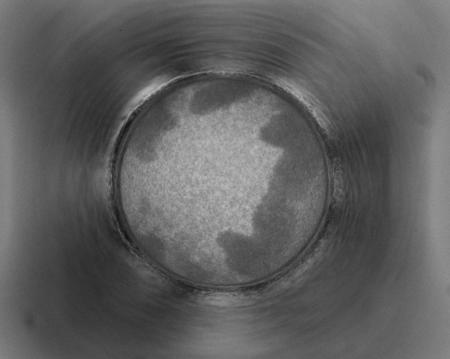 X0000116791074200912311912