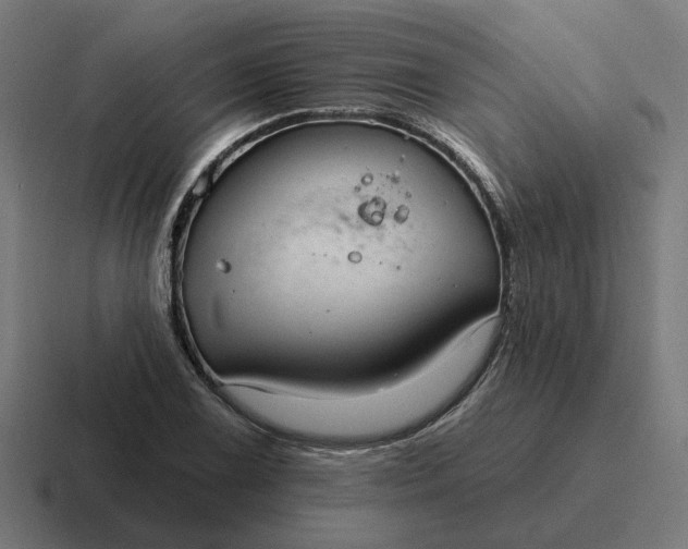 X0000116791075200912311912