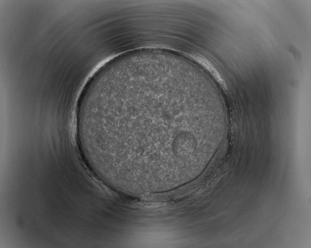 X0000116791076200912311912