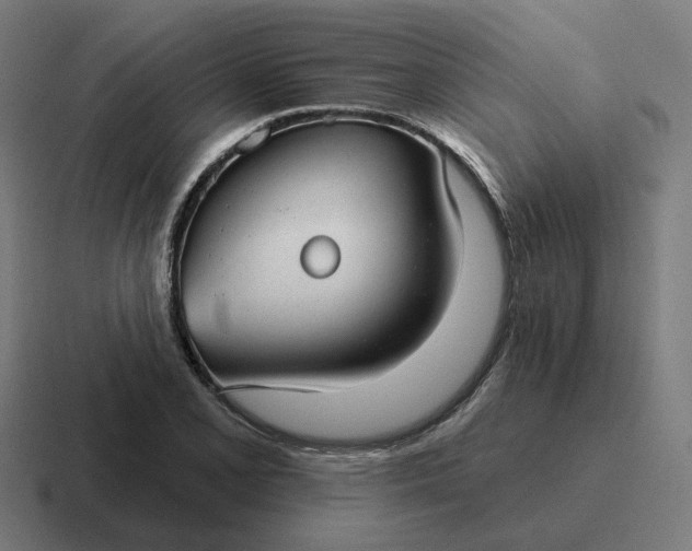 X0000116791077200912311912