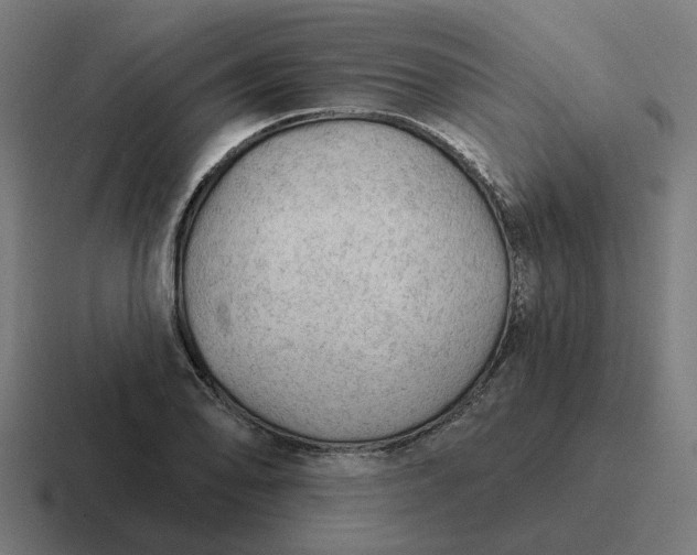 X0000116791078200912311912