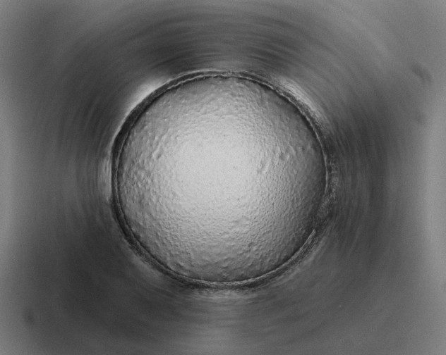 X0000116791079200912311912