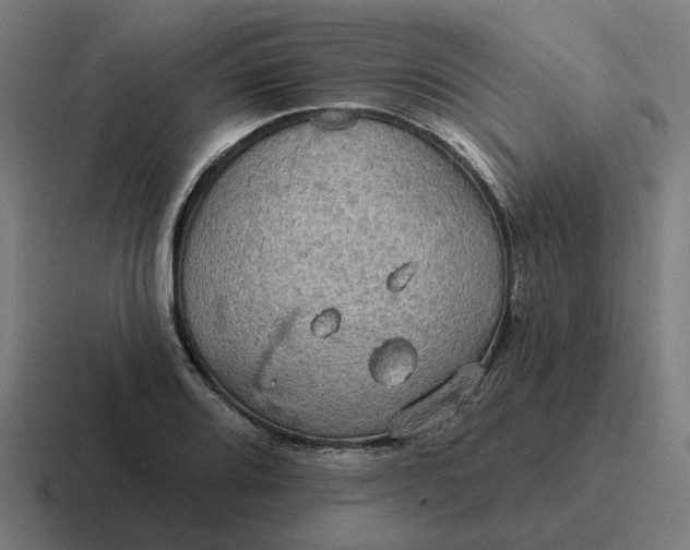 X0000116791080200912311912