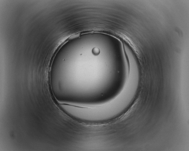 X0000116791081200912311912