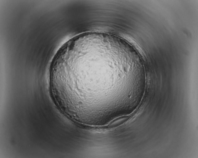 X0000116791083200912311912