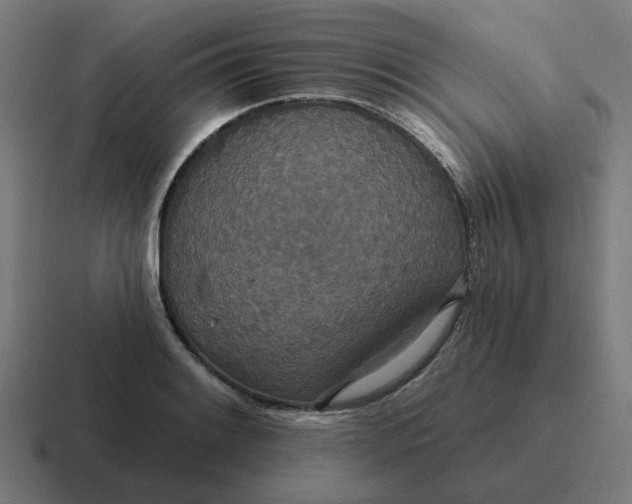 X0000116791084200912311912