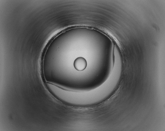 X0000116791085200912311912