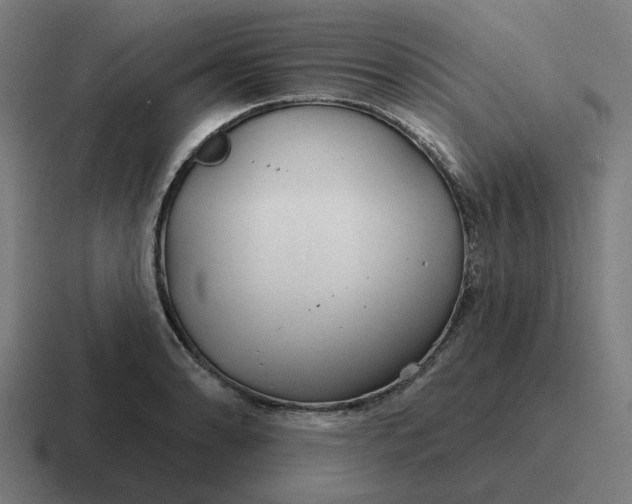 X0000116791086200912311912