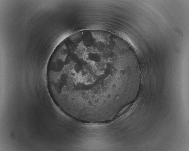 X0000116791087200912311912