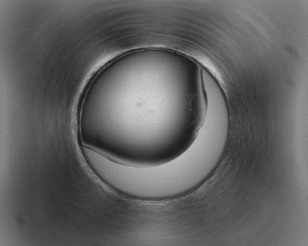 X0000116791088200912311912