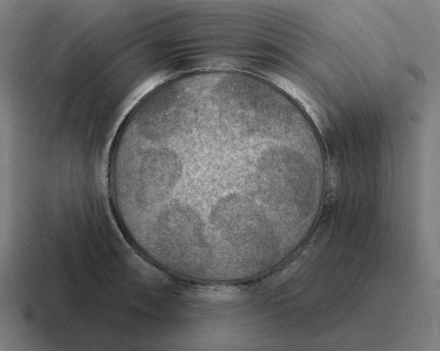 X0000116791090200912311912