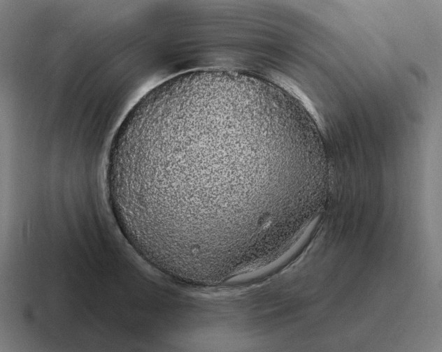 X0000116791091200912311912