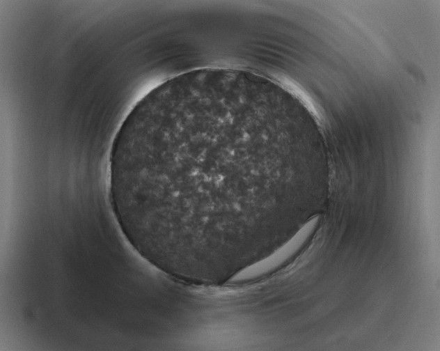 X0000116791095200912311912