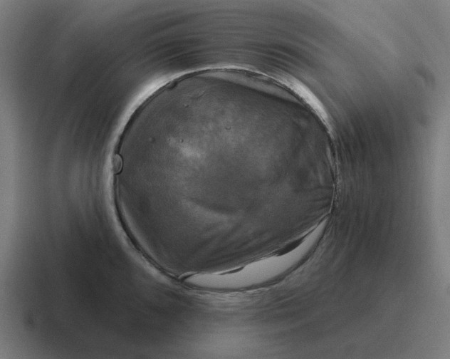 X0000116791096200912311912