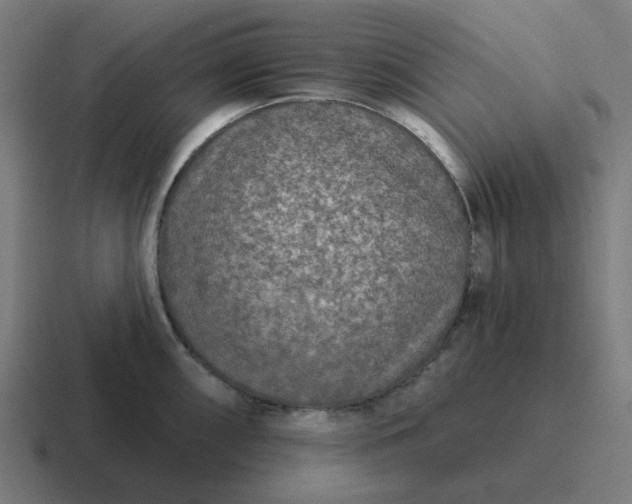 X0000116791098200912311912