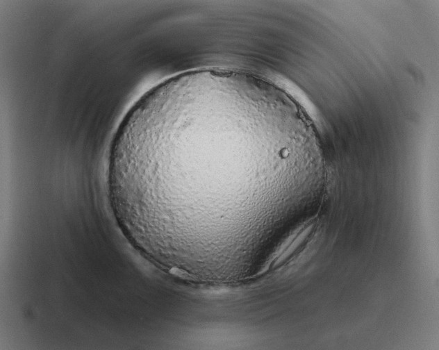 X0000116791099200912311912