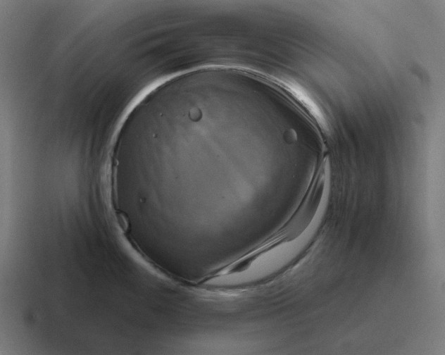 X0000116791100200912311912