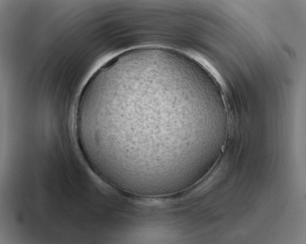 X0000116791101200912311912