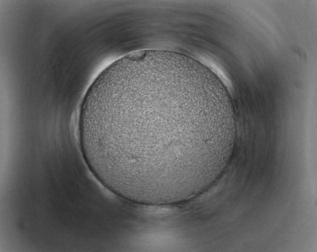 X0000116791103200912311912