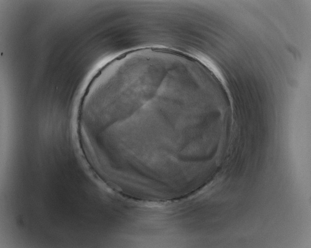 X0000116791104200912311912