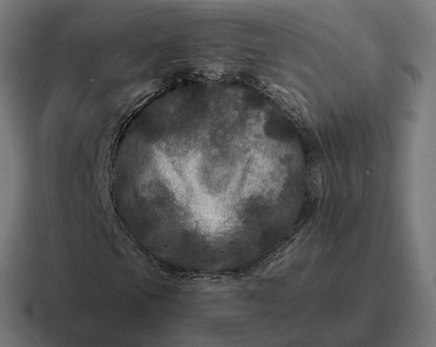 X0000116791105200912311911