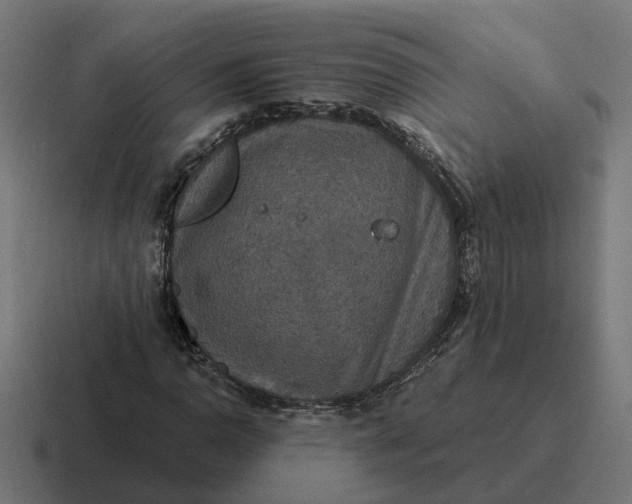 X0000116791110200912311911