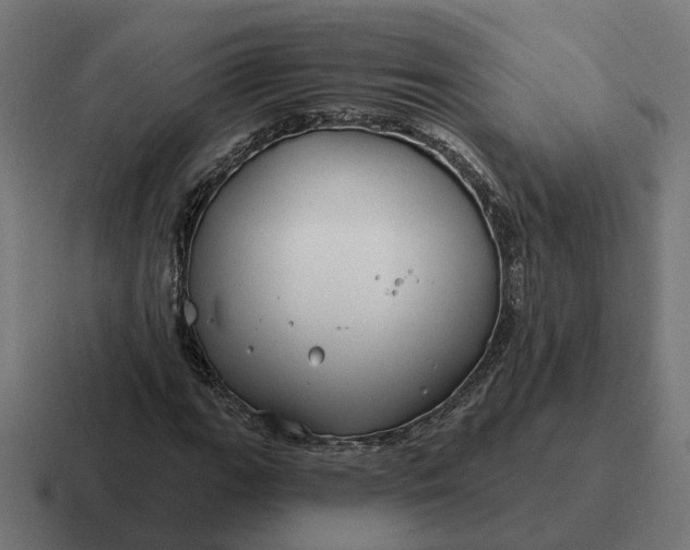 X0000116791111200912311911