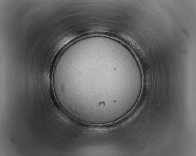 X0000116791113200912311911