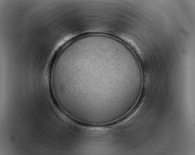 X0000116791114200912311911