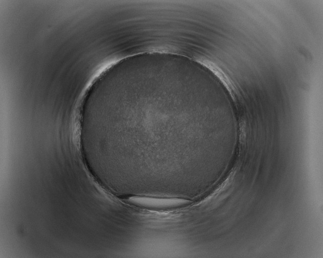 X0000116791115200912311911