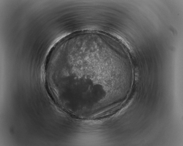 X0000116791117200912311911