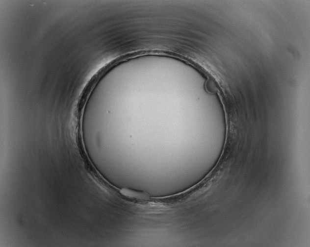 X0000116791119200912311911