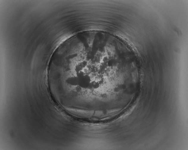 X0000116791121200912311911