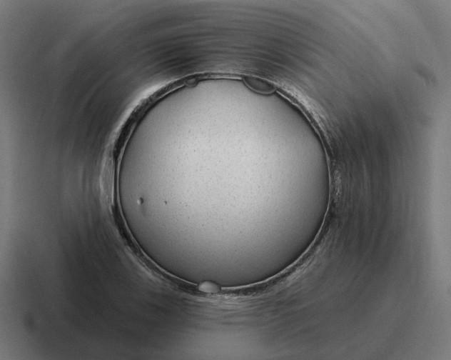 X0000116791123200912311911