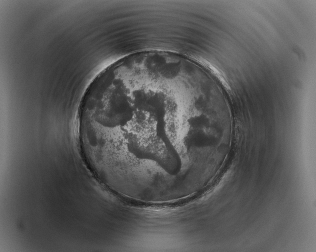 X0000116791125200912311911