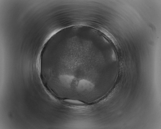 X0000116791127200912311911