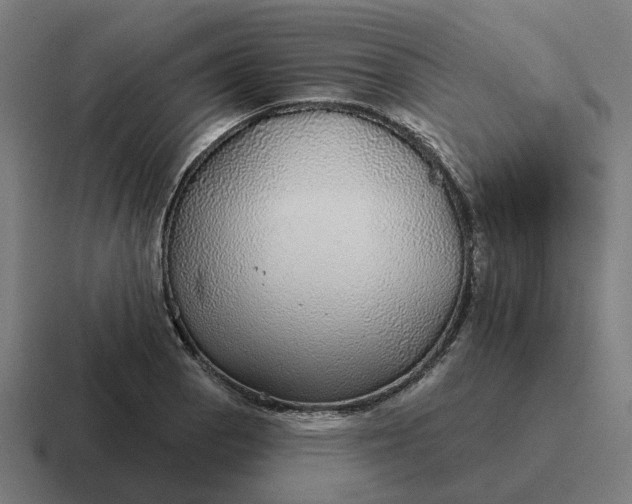 X0000116791129200912311911