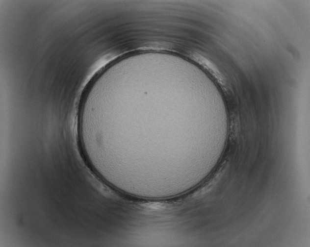 X0000116791130200912311911