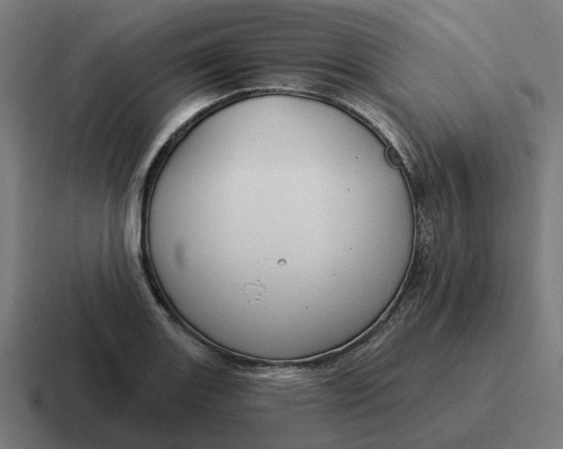 X0000116791131200912311911