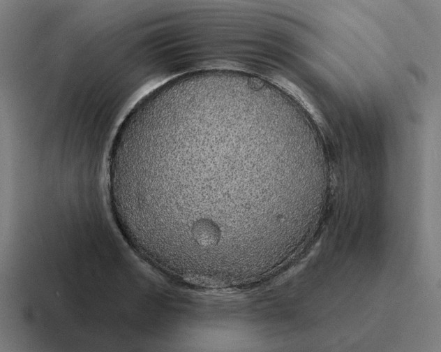 X0000116791133200912311912