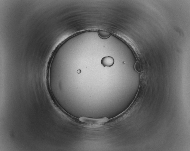 X0000116791135200912311912